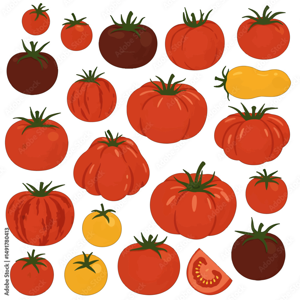 Various Colorful Tomato Illustration Design Various Colorful Tomato Illustration Design