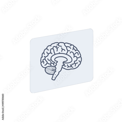 Isometric Illustration Of Human Brain