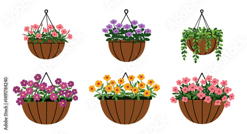 Hanging flowerpots and plants collection