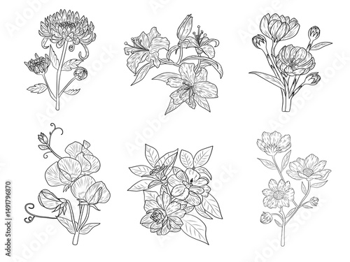 Flower line art collection, white isolate background