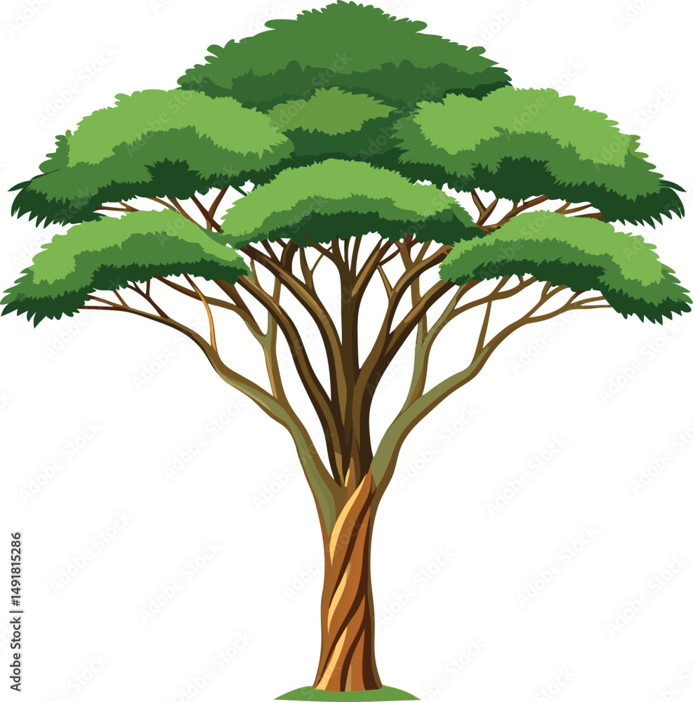 Obraz premium African savanna tree (Acacia)