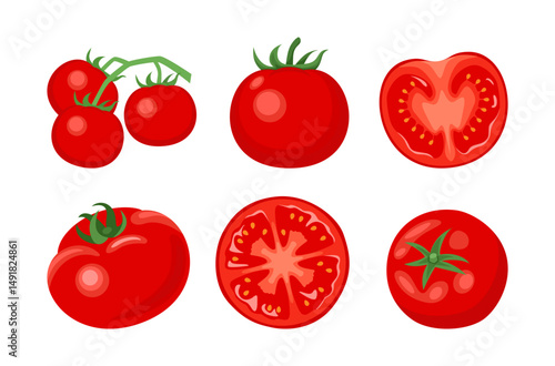 Fresh tomatoes set. Branch of cherry tomatoes, whole and slices vegetables. Vector cartoon flat illustration