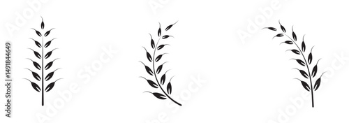 Wheat ears icon set. vector illustration on white background. 