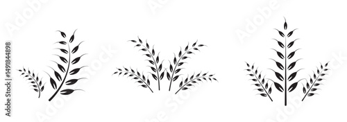 Wheat ears icon set. vector illustration on white background. 