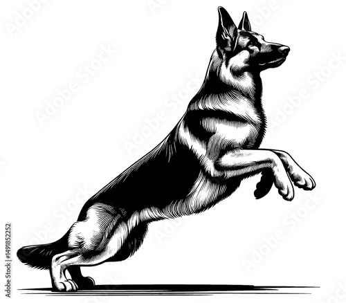 Hand drawn cute German Shepherd in full-body, vector sketch isolated on white background, SVG vector	