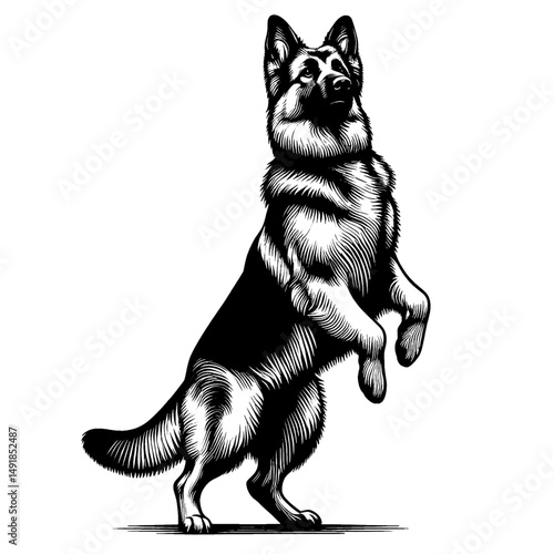 Hand drawn cute German Shepherd in full-body, vector sketch isolated on white background, SVG vector	