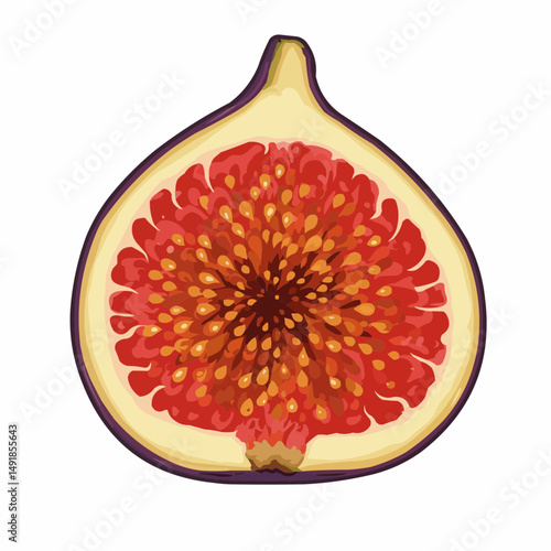 Half fig reveals bright red pulp dotted with seeds, against a pale skin