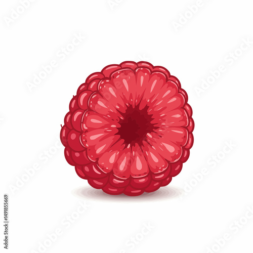 Red fruit with a bumpy surface; a detailed illustration on white background
