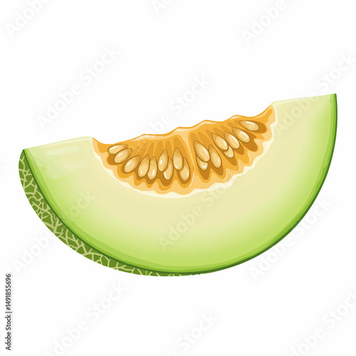 Melon slice showing juicy flesh and many seeds in yellow and green colors