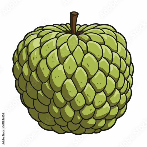Spiky skin texture, green tropical fruit and a brown stem, isolated on a white background