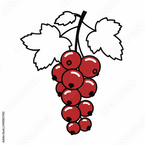 Berry cluster with leaves and stem on a white background; red fruit, black and white