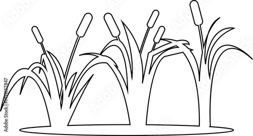 Wetlands Black Silhouette Icon with Multiple Marsh Cattails Elements, Environment Icons Over A Seamless Pattern designs template, isolated on transparent background, used for mobile apps, web page