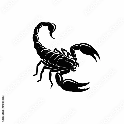 Scorpion detail illustration in black with a stylized, menacing look