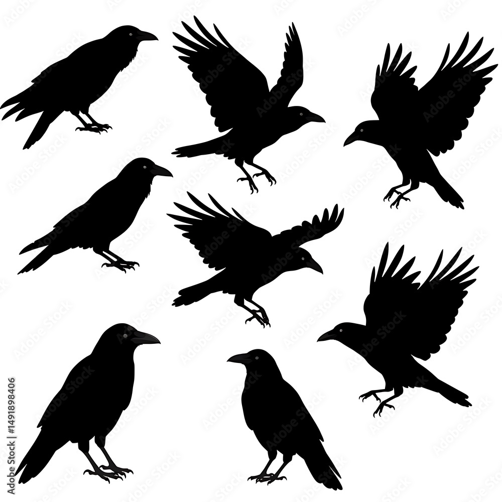 Obraz premium Raven's Flight: A Silhouette Study
