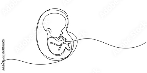 Baby embryo in womb one line drawing. Cute unborn fetus baby on mother womb isolated on white background, Baby embryo in womb in one continuous line drawing. Healthy pregnancy and premature symbol.