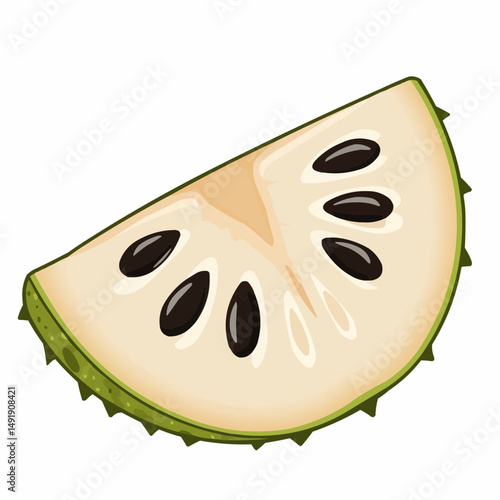 Illustration of a sliced, edible fruit with large, shiny, dark seeds in cream pulp
