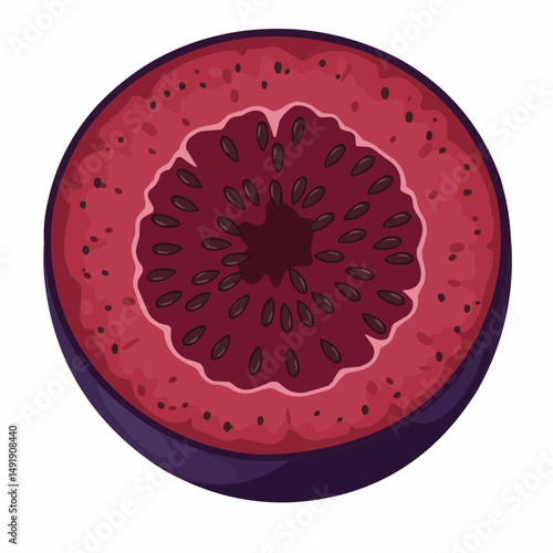 Cut graphic of a fig fruit shows the seeds and pink flesh on a white background