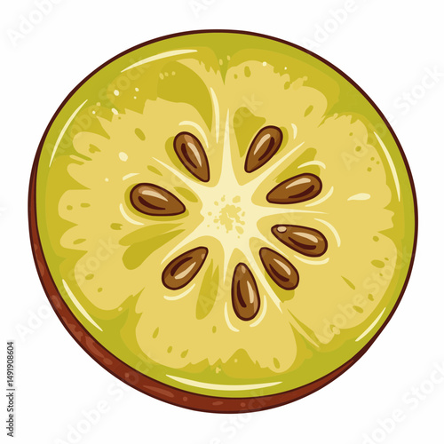 Cut green lime with many seeds inside isolated on white. Detailed closeup