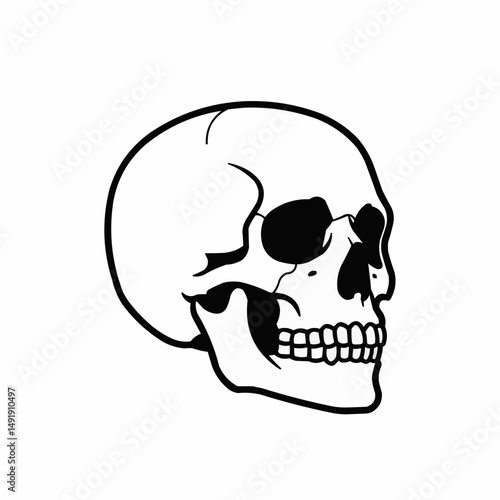 Skull wearing black glasses with white background and black outline drawing