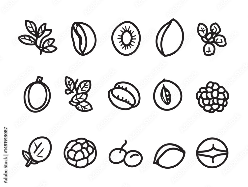 Obraz premium Hand drawn black bean line art style vector image