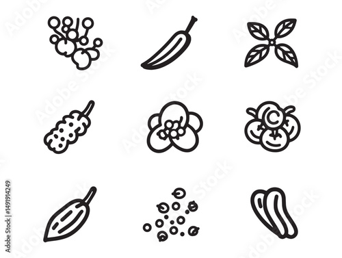 Black Pepper Line Art Illustration For Cooking And Food