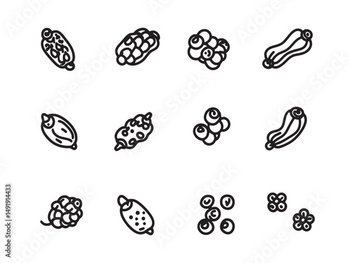 Hand Drawn Black Pepper Line Art Vector For Designers