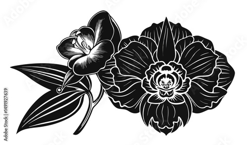 High Detail Orchid Vector Illustration Elegant Realism