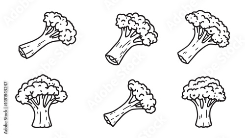 Broccoli line art fresh organic garden illustration