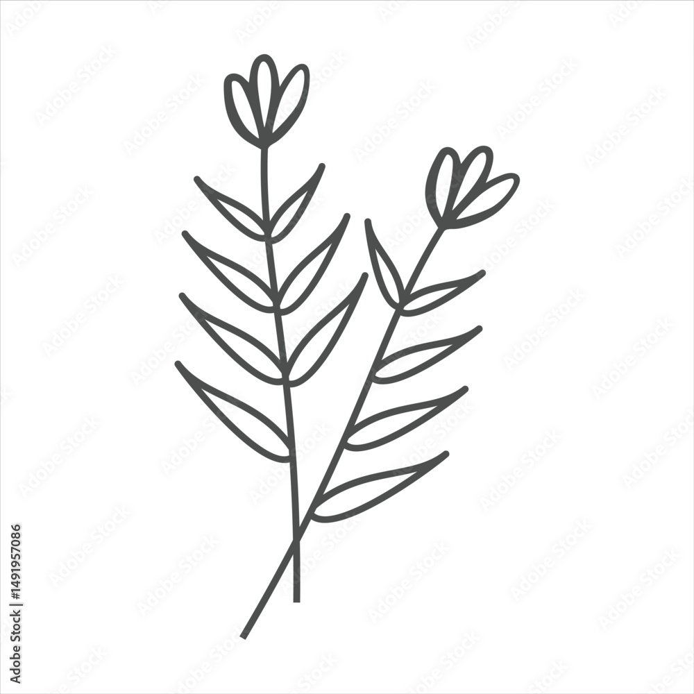Botanical leaf doodle wildflower line art Botanical leaf doodle wildflower line art