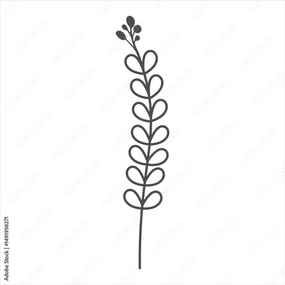 Botanical leaf doodle wildflower line art Botanical leaf doodle wildflower line art