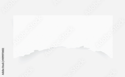Torn paper edges. Ripped paper texture. Paper tag. White paper sheet for background. Vector illustration.