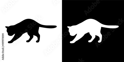 Curious Kitten in Shadow Variation 