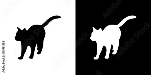 Curious Kitten in Shadow Variation 