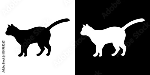 Curious Kitten in Shadow Variation 