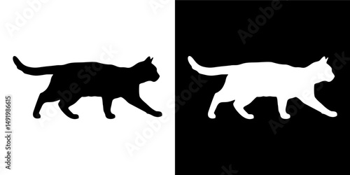 Curious Cat Facing Forward Variation 