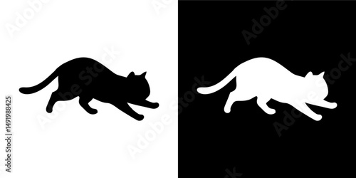 Curious Kitten in Shadow Variation 