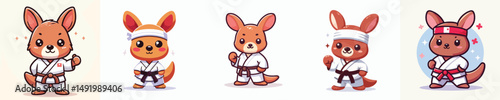 cute kangaroo vector in karate costume