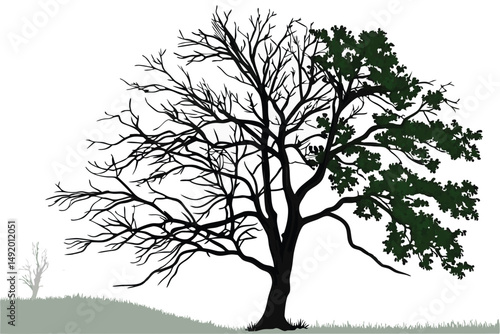 25 photo of a tree with leafless branches on one side and lush green leaves on the other side, photo manipulation, highly detailed, realistic, 4k