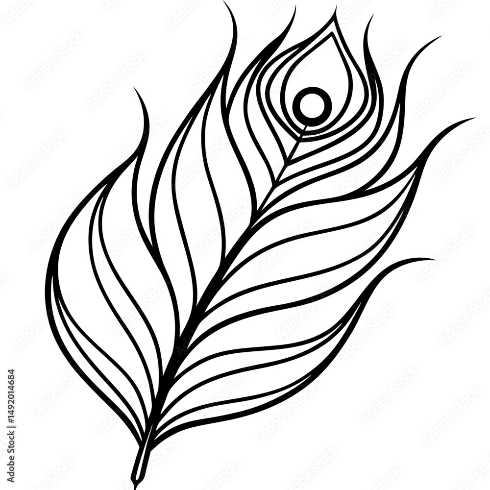 Obraz premium Peacock Feather line art vector