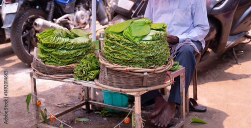 Canvastavla Betel leaf for sale at a market stall in India, Piper betle used for chewing are