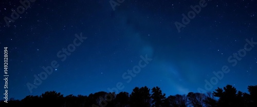 Dark blue night sky brimming with stars above a silhouetted tree line, Milky Way visible,  background, forest