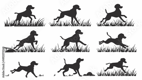 Set of Black Silhouette Dog Running and Walking Poses in Grass Dynamic Vector Graphic