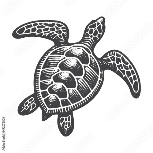 Vintage Hand-Drawn Sea Turtle Top View Illustration – Marine Life Engraved Style Vector for T-Shirts, Posters, Stickers, and Ocean Apparel