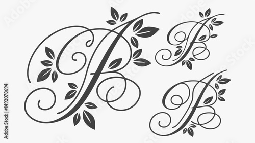 Highly Detailed Ornate Elegant Calligraphy B Monogram with Decorative Floral Leaves Swirls Flourishes Letter Initial Design Art