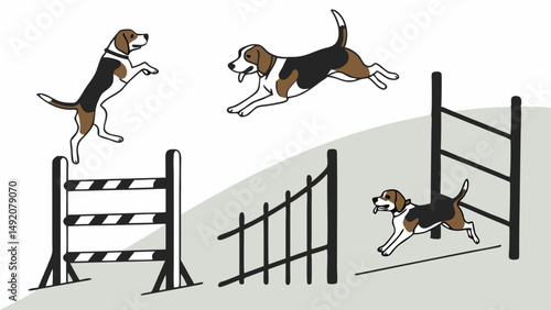 Clean Illustration of Beagle Dog Agility Jumps Over Hurdles and Fences