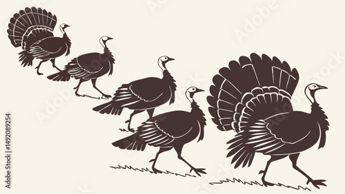 Five wild turkeys walking in a line vintage engraving style illustration