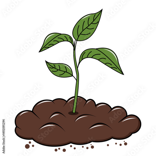 Plant Growing Out of the Earth, vector illustration, full of compost