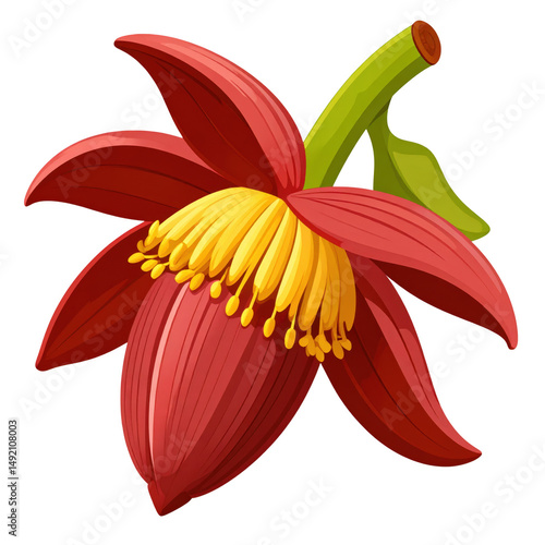 Vibrant Red Flower with Yellow Stamen and Green Leaves in a Detailed Illustration Style Perfect for Art and Nature Enthusiasts
