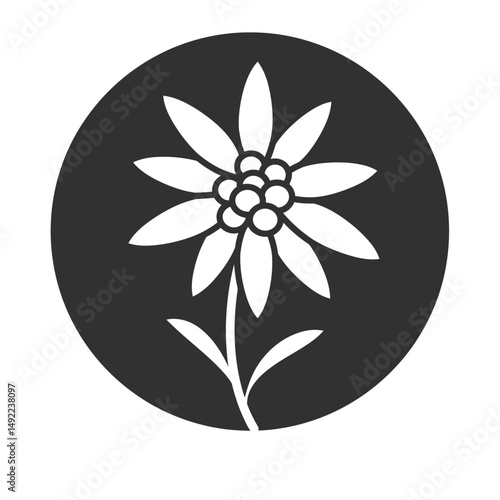 This beautifully crafted vector illustration features an elegant rose flower, showcasing intricate petal details and a timeless design. The image highlights the delicate curves and textures of the ros