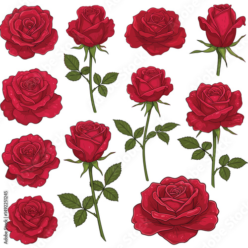 This beautifully crafted vector illustration features an elegant rose flower, showcasing intricate petal details and a timeless design. The image highlights the delicate curves and textures of the ros